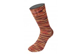 VIntage Socks Multi 1053